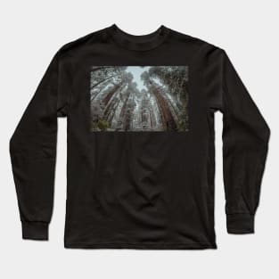 Snow in a Redwood Forest Long Sleeve T-Shirt